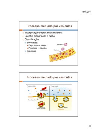 18/05/2011




 Processo mediado por vesículas

Incorporação de partículas maiores;
Envolve deformação e fusão;
Classificação:
 Endocitose:
   Fagocitose → sólidos;
   Pinocitose → líquidos.
 Exocitose.




 Processo mediado por vesículas




                                             13
 