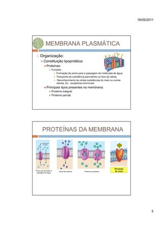 18/05/2011




            MEMBRANA PLASMÁTICA
     Organização:
         Constituição lipoprotéica:
             Proteínas:
                   Funções:
                       Formação de poros para a passagem de moléculas de água;
                       Transporte de substância para dentro ou fora da célula;
                        Reconhecimento de certas substâncias do meio ou outras
                       células. Ex.: receptores hormonais
             Principais tipos presentes na membrana:
                   Proteína Integral;
                   Proteína parcial.




        PROTEÍNAS DA MEMBRANA




Poros que permitem a     Canal de proteína:   Proteína carreadora:
 passagem de água




                                                                                         5
 
