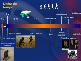 Linha do 
tempo 
11.000 anos 
≈ 200.000 anos 
Agricult. 
≈ 300.000 anos 
Homo 
sapiens 
Ancestral comum 
1 M ≈ 600.000 anos 
Fogo 
2 M 
4 M 
Homo hablilis 
Homo erectus 
1.8 M 
Homo ergaster 
Australopithecus 
afarensis 
 