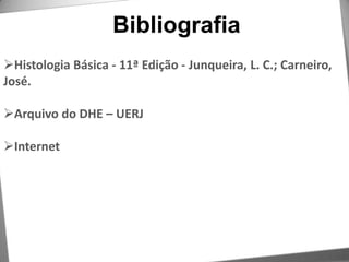 BibliografiaHistologia Básica - 11ª Edição - Junqueira, L. C.; Carneiro, José.