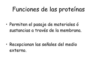 Funciones de las proteínas Permiten el pasaje de materiales ó sustancias a través de la membrana. Recepcionan las señales del medio externo. 