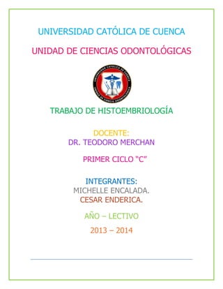 UNIVERSIDAD CATÓLICA DE CUENCA
UNIDAD DE CIENCIAS ODONTOLÓGICAS
TRABAJO DE HISTOEMBRIOLOGÍA
DOCENTE:
DR. TEODORO MERCHAN
PRIMER CICLO “C”
INTEGRANTES:
MICHELLE ENCALADA.
CESAR ENDERICA.
AÑO – LECTIVO
2013 – 2014
 