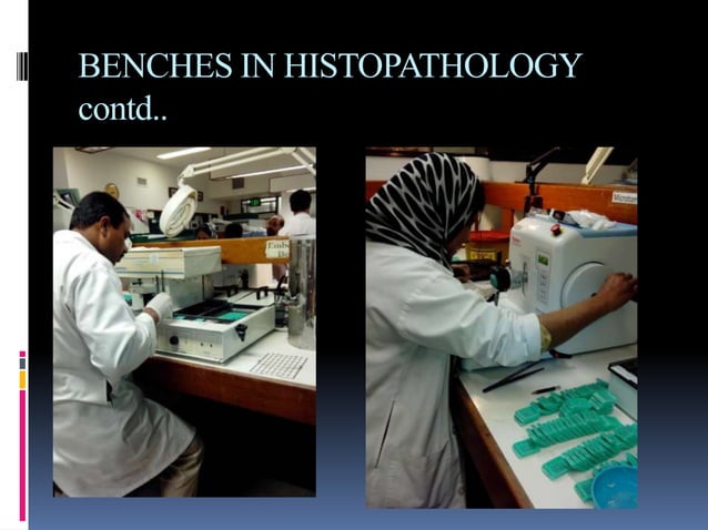 HistoPATHOLOGY | PPTX | Genetics | Science
