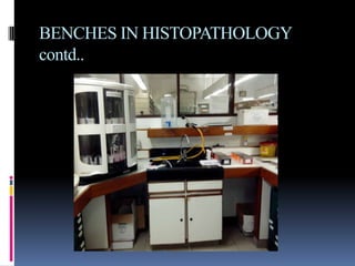 BENCHES IN HISTOPATHOLOGY
contd..
 