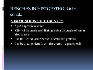 BENCHES IN HISTOPATHOLOGY
contd..
5.IMMUNOHISTOCHEMISTRY
 Ag-Ab specific reaction
 Clinical diagnosis and distinguishing diagnosis of tumor
histogenesis
 Can be used to locate particular cells and proteins
 Can be used to identify cellular events – e.g.apoptosis
 