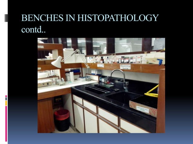 HistoPATHOLOGY | PPTX | Genetics | Science