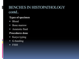 BENCHES IN HISTOPATHOLOGY
contd..
Types of specimen
 Blood
 Bone marrow
 Amniotic fluid
Procedures done
 Karyo typing
 G-banding
 FISH
 