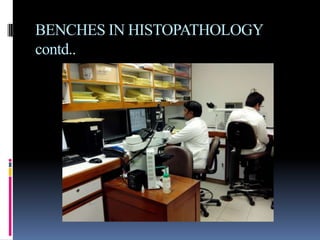 BENCHES IN HISTOPATHOLOGY
contd..
 
