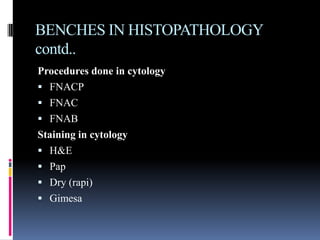 BENCHES IN HISTOPATHOLOGY
contd..
Procedures done in cytology
 FNACP
 FNAC
 FNAB
Staining in cytology
 H&E
 Pap
 Dry (rapi)
 Gimesa
 