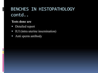 BENCHES IN HISTOPATHOLOGY
contd..
Tests done are
 Detailed report
 IUI (intra uterine insemination)
 Anti sperm antibody
 