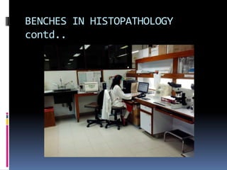 BENCHES IN HISTOPATHOLOGY
contd..
 