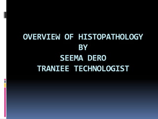 OVERVIEW OF HISTOPATHOLOGY
BY
SEEMA DERO
TRANIEE TECHNOLOGIST
 
