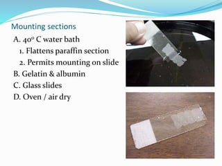 Mounting sections
A. 40o C water bath
1. Flattens paraffin section
2. Permits mounting on slide
B. Gelatin & albumin
C. Glass slides
D. Oven / air dry
 
