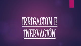 IRRIGACION E 
INERVACIÓN 
 
