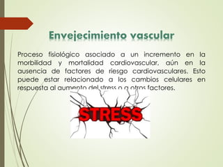 Envejecimiento vascular
Proceso fisiológico asociado a un incremento en la
morbilidad y mortalidad cardiovascular, aún en la
ausencia de factores de riesgo cardiovasculares. Esto
puede estar relacionado a los cambios celulares en
respuesta al aumento del stress o a otros factores.
 