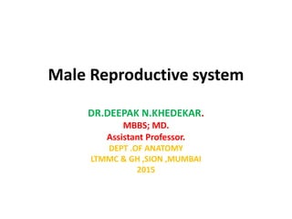 Male Reproductive system
DR.DEEPAK N.KHEDEKAR.
MBBS; MD.
Assistant Professor.
DEPT .OF ANATOMY
LTMMC & GH ,SION ,MUMBAI
2015
 