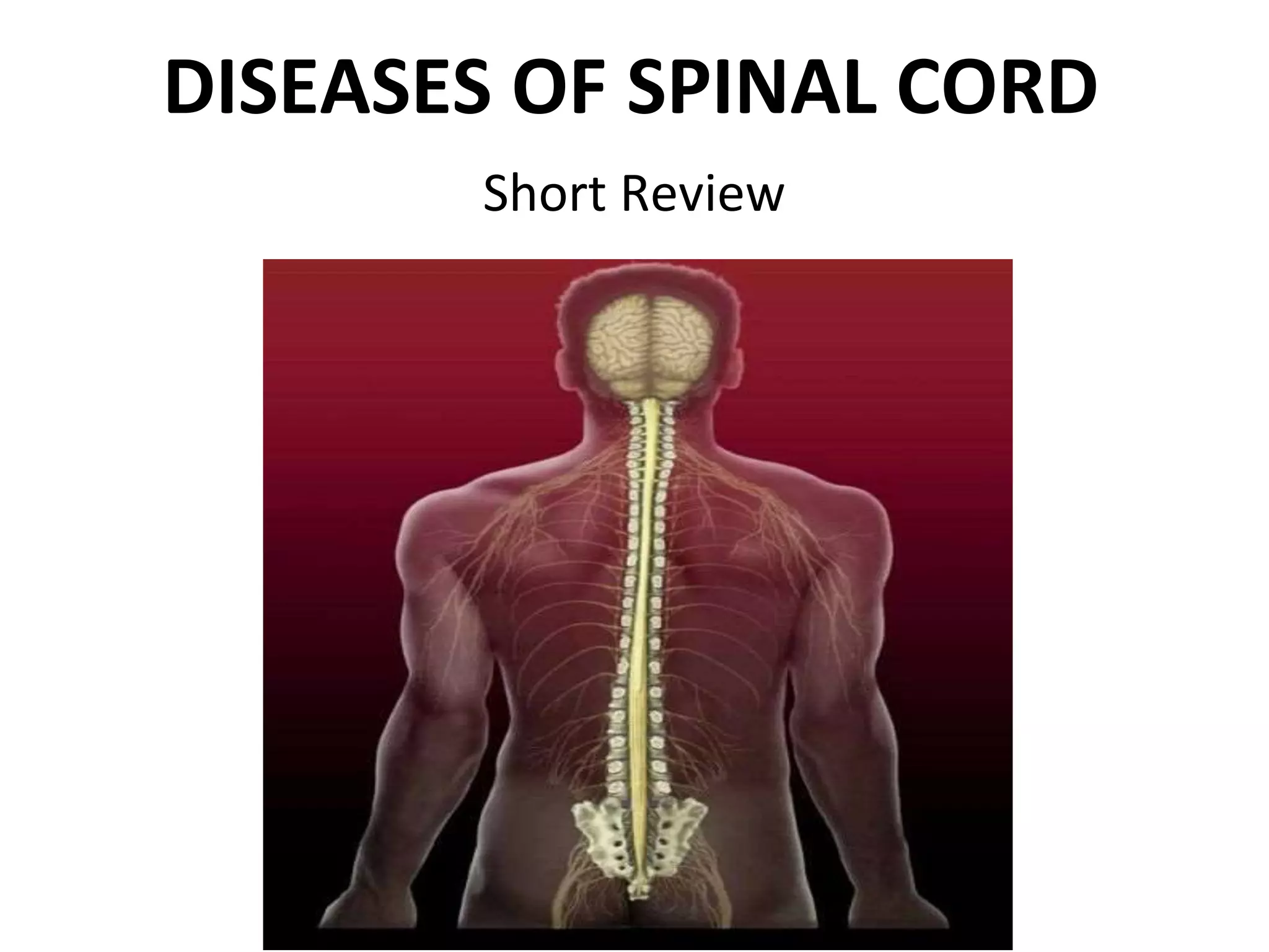 Spinal Cord Diseases PPT
