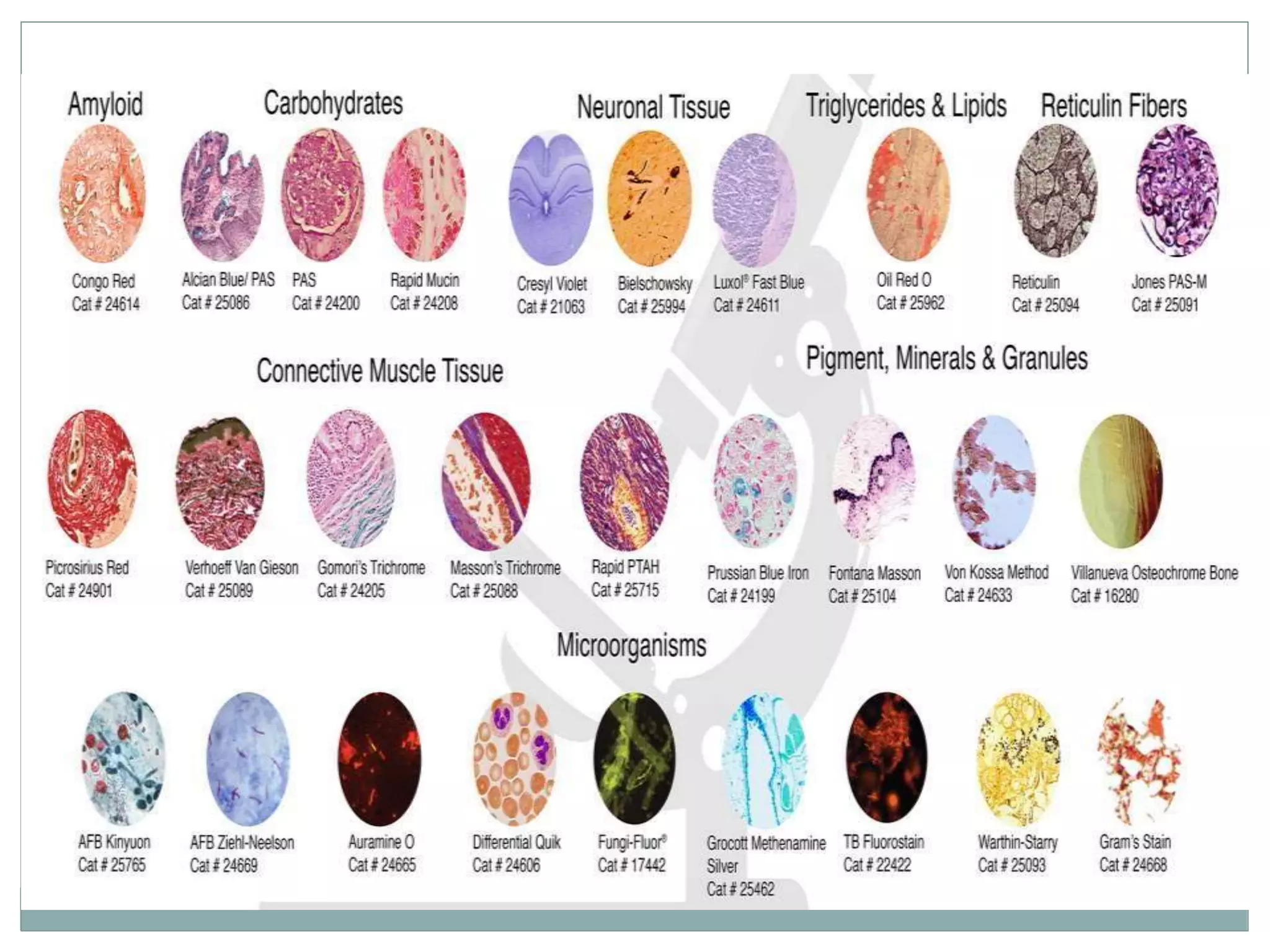 Technique of Histopathology | PPTX