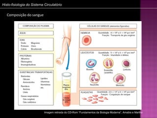 Histo-fisiologia do Sistema Circulatório

   Composição do sangue




                            Imagem retirada do CD-Rom “Fundamentos da Biologia Moderna”, Amabis e Martho
 