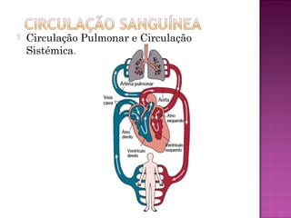    Circulação Pulmonar e Circulação
    Sistémica.
 