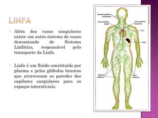    Além dos vasos sanguíneos
    existe um outro sistema de vasos
    denominado       de     Sistema
    Linfático,   responsável    pelo
    transporte da Linfa.

   Linfa é um fluído constituido por
    plasma e pelos glóbulos brancos
    que atravessam as paredes dos
    capilares sanguíneos para os
    espaços intersticiais.
 