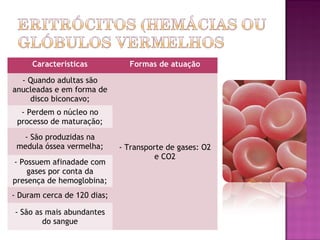Características           Formas de atuação

  - Quando adultas são
anucleadas e em forma de
    disco biconcavo;
  - Perdem o núcleo no
 processo de maturação;
  - São produzidas na
 medula óssea vermelha;      - Transporte de gases: O2
                                       e CO2
- Possuem afinadade com
    gases por conta da
presença de hemoglobina;
- Duram cerca de 120 dias;

- São as mais abundantes
        do sangue
 