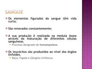    Os elementos figurados do sangue têm vida
    curta;

   São renovados constantemente;

   A sua produção é realizada na medula óssea
    através da maturação de diferentes células
    sanguíneas.
     Processo   designado de hematopoiese.

   Os leucócitos são produzidos ao nível dos órgãos
    linfoides.
     Baço;   Fígado e Gânglios linfáticos.
 