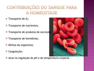    Transporte de O2;

   Transporte de nutrientes;

   Transporte de produtos de excreção;

   Transporte de hormônios;

   Defesa do organismo;

   Coagulação;

   Atua na regulação do pH e da temperatura corporal.
 