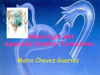 Histología del
Aparato Genital Femenino
Mario Chavez Guarniz
 