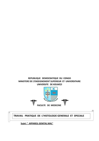 REPUBLIQUE DEMOCRATIQUE DU CONGO
MINISTERE DE L’ENSEIGNEMENT SUPERIEUR ET UNIVERSITAIRE
UNIVERSITE DE KOLWEZI
FACULTE DE MEDECINE
Sujet: " APPAREIL GENITAL MAL"
TRAVAIL PRATIQUE DE L’HISTOLOGIE GENERALE ET SPECIALE
 