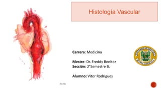 Histología Vascular
Carrera: Medicina
Mestre: Dr. Freddy Benitez
Sección: 2°Semestre B.
Alumno: Vitor Rodrigues
 