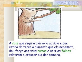 A raiz que segura a árvore ao solo e que
retira da terra o alimento que ela necessita,
deu força aos seus ramos e as suas folhas
voltaram a crescer e a dar sombra.
 