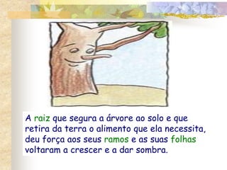 A raiz que segura a árvore ao solo e que 
retira da terra o alimento que ela necessita, 
deu força aos seus ramos e as suas folhas 
voltaram a crescer e a dar sombra. 
 