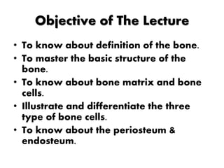 Objective of The Lecture
• To know about definition of the bone.
• To master the basic structure of the
bone.
• To know about bone matrix and bone
cells.
• Illustrate and differentiate the three
type of bone cells.
• To know about the periosteum &
endosteum.
 