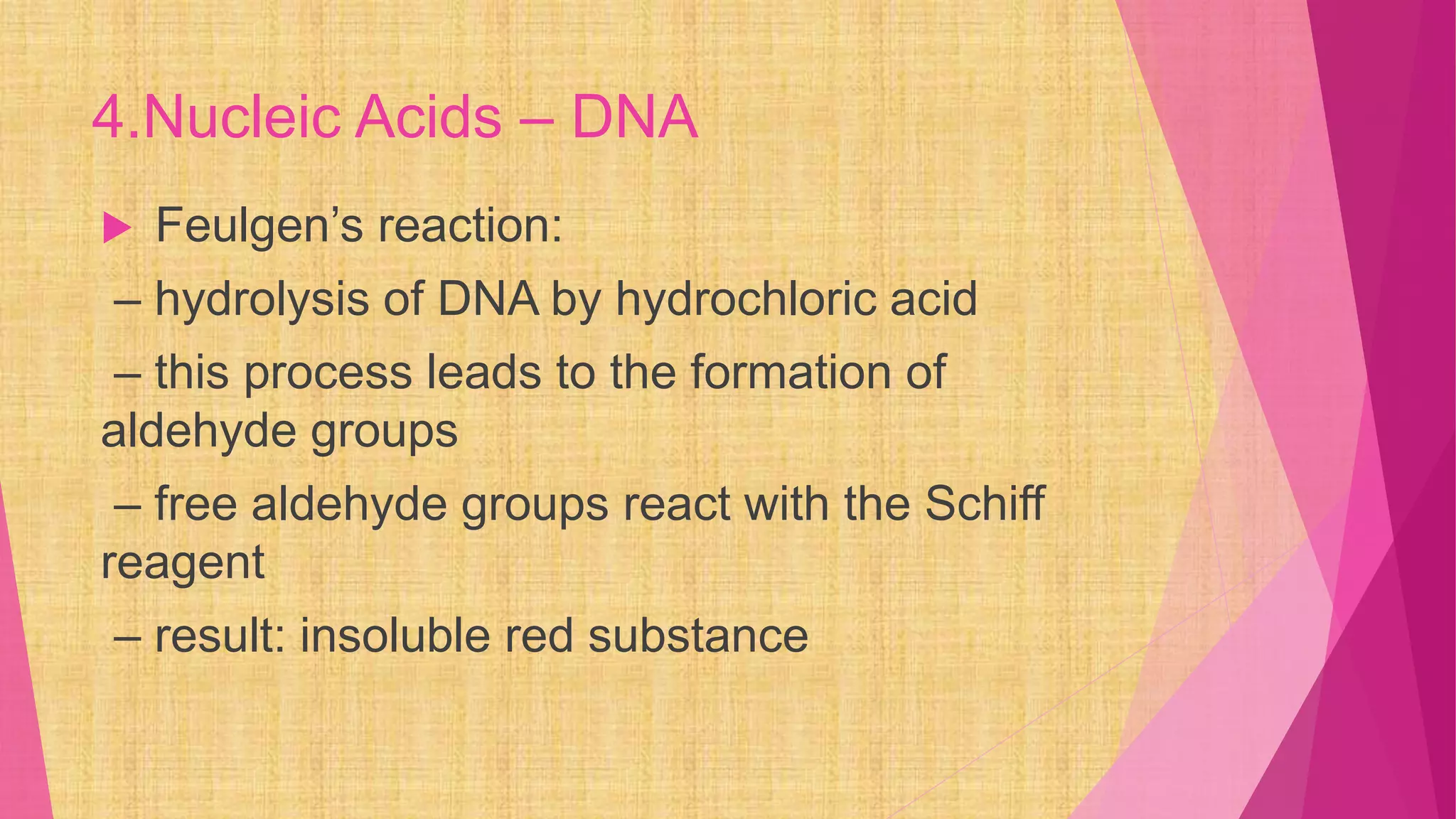 4.Nucleic Acids – DNA
 Feulgen’s reaction:
– hydrolysis of DNA by hydrochloric acid
– this process leads to the formation of
aldehyde groups
– free aldehyde groups react with the Schiff
reagent
– result: insoluble red substance
 