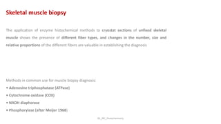 KS_JRC_Histochemistry
The application of enzyme histochemical methods to cryostat sections of unfixed skeletal
muscle shows the presence of different fiber types, and changes in the number, size and
relative proportions of the different fibers are valuable in establishing the diagnosis
Methods in common use for muscle biopsy diagnosis:
• Adenosine triphosphatase (ATPase)
• Cytochrome oxidase (COX)
• NADH diaphorase
• Phosphorylase (after Meijer 1968)
Skeletal muscle biopsy
 