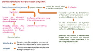 Enzymes are labile and their preservation is important
Fixation will destroy many
of the oxidative enzymes
freezing and subsequent
thawing of blocks or sections
damages lysosome
Hydrolytic enzymes show
considerable diffusion if
demonstrated on frozen,
unfixed sections
Tissues to be used for the demonstration
of the majority of hydrolytic enzymes may
be subjected to controlled fixation
decreasing the amount of demonstrable
enzyme within the section, does allow for
a considerably sharper localization of the
remaining enzyme activity
for the demonstration of hydrolytic
enzymes, histochemical techniques are
usually applied to sections that have been
prefixed in cold (4°C) formal calcium
Fixation for enzyme histochemistry
Cryofixation
Chemical fixation
Chemical fixation
Cryofixation
Cryofixation will preserve many
of the oxidative enzymes
Cryosectioning and staining
Mitochondria
Contains most of the oxidative enzymes and
damaged immediately after blood supply cut
Lysosome
Contains most of the hydrolytic enzymes and
damaged on freeze thaw
 