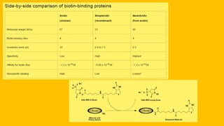 KS_JRC_Histochemistry
 