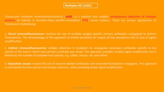 KS_JRC_Histochemistry
Multiplex IHC (mIHC)
Fluorescent multiplex immunohistochemistry (mIHC) is a method that enables simultaneous detection of multiple
proteins of interest in formalin-fixed paraffin-embedded (FFPE) tissue sections. There are various approaches to
fluorescent multiplexing:
1. Direct immunofluorescence: involves the use of multiple antigen-specific primary antibodies conjugated to distinct
fluorophores. The disadvantage of this approach is limited sensitivity for targets of low abundance due to lack of signal
amplification.
2. Indirect immunofluorescence: antigen detection is mediated via conjugated secondary antibodies specific to the
species of the host in which each primary antibody was raised. This approach provides modest signal amplification but is
limited by the number of available host species, e.g. rabbit, mouse, rat, and others.
3. Deposition assays: involve the use of enzyme-labeled antibodies and tyramide-fluorophore conjugates. This approach
is unhindered by host species and isotype concerns, while providing ample signal amplification.
 