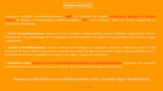 KS_JRC_Histochemistry
Multiplex IHC (mIHC)
Fluorescent multiplex immunohistochemistry (mIHC) is a method that enables simultaneous detection of multiple
proteins of interest in formalin-fixed paraffin-embedded (FFPE) tissue sections. There are various approaches to
fluorescent multiplexing:
1. Direct immunofluorescence: involves the use of multiple antigen-specific primary antibodies conjugated to distinct
fluorophores. The disadvantage of this approach is limited sensitivity for targets of low abundance due to lack of signal
amplification.
2. Indirect immunofluorescence: antigen detection is mediated via conjugated secondary antibodies specific to the
species of the host in which each primary antibody was raised. This approach provides modest signal amplification but is
limited by the number of available host species, e.g. rabbit, mouse, rat, and others.
3. Deposition assays: involve the use of enzyme-labeled antibodies and tyramide-fluorophore conjugates. This approach
is unhindered by host species and isotype concerns, while providing ample signal amplification.
Fluorescent Multiplex Immunohistochemistry with Tyramide Signal Amplification
 