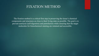 Lectures slide for the HISTOCHEMISTRY.pptx