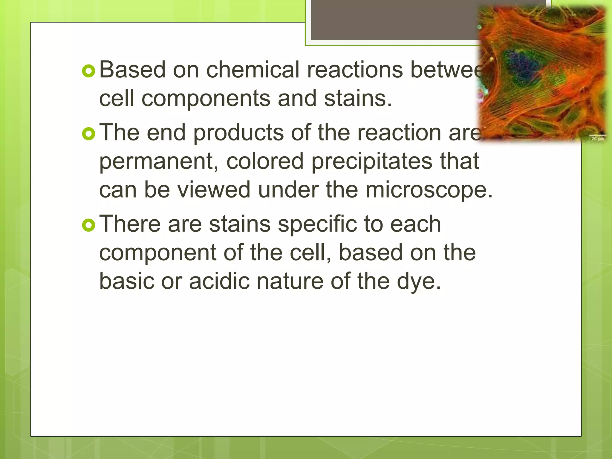 Based on chemical reactions between
cell components and stains.
The end products of the reaction are
permanent, colored precipitates that
can be viewed under the microscope.
There are stains specific to each
component of the cell, based on the
basic or acidic nature of the dye.
 