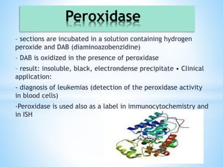 Dab H2o2 Histochemistry in pathology and it'sbranches.pptx