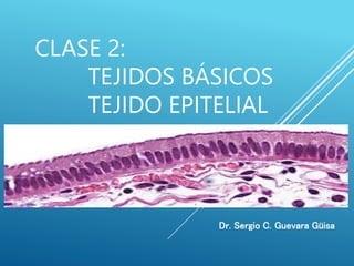 CLASE 2:
TEJIDOS BÁSICOS
TEJIDO EPITELIAL
Dr. Sergio C. Guevara Güisa
 