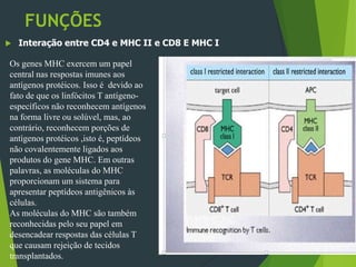 FUNÇÕES
 Interação entre CD4 e MHC II e CD8 E MHC I
Os genes MHC exercem um papel
central nas respostas imunes aos
antígenos protéicos. Isso é devido ao
fato de que os linfócitos T antígeno-
específicos não reconhecem antígenos
na forma livre ou solúvel, mas, ao
contrário, reconhecem porções de
antígenos protéicos ,isto é, peptídeos
não covalentemente ligados aos
produtos do gene MHC. Em outras
palavras, as moléculas do MHC
proporcionam um sistema para
apresentar peptídeos antigênicos às
células.
As moléculas do MHC são também
reconhecidas pelo seu papel em
desencadear respostas das células T
que causam rejeição de tecidos
transplantados.
 