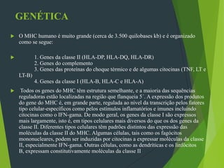 GENÉTICA
 O MHC humano é muito grande (cerca de 3.500 quilobases kb) e é organizado
como se segue:
 1. Genes da classe II (HLA-DP, HLA-DQ, HLA-DR)
2. Genes do complemento
3. Genes das proteínas do choque térmico e de algumas citocinas (TNF, LT e
LT-B)
4. Genes da classe I (HLA-B, HLA-C e HLA-A)
 Todos os genes do MHC têm estrutura semelhante, e a maioria das sequências
reguladoras estão localizadas na região que flanqueia 5´. A expressão dos produtos
do gene do MHC é, em grande parte, regulada ao nível da transcrição pelos fatores
tipo celular-específicos como pelos estímulos inflamatórios e imunes incluindo
citocinas como o IFN-gama. De modo geral, os genes da classe I são expressos
mais largamente, isto é, em tipos celulares mais diversos do que os dos genes da
classe II. Diferentes tipos celulares têm padrões distintos das expressão das
moléculas da classe II do MHC. Algumas células, tais como os fagócitos
mononucleares, podem ser induzidas por citocinas a expressar moléculas da classe
II, especialmente IFN-gama. Outras células, como as dendríticas e os linfócitos
B, expressam constitutivamente moléculas da classe II
 
