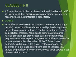 CLASSES I e II
 A função das moléculas de classes I e II codificadas pelo MHC é
se ligar a peptídeos antigênicos e os apresentar para serem
reconhecidos pelos linfócitos T específicos.
 CLASSE I
 As moléculas de classe I são compostas de uma cadeia α (ou
pesada). As extremidades da fenda de ligação de peptídeos
das moléculas da classe I são fechadas, impedindo a ligação
de peptídeos maiores. Assim sendo proteínas globulares
nativas precisam ser processadas para gerar fragmentos
pequenos o suficiente para se ligarem ás moléculas do MHC e
para serem reconhecidas pelas células T. Os resíduos
polimórficos das moléculas classe I estão confinados aos
domínios α1 e α2, onde contribuem para as variações na
ligação de peptídeos e no reconhecimento pelas células T dos
diversos alelos classe I.
 