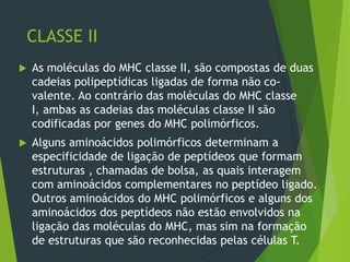 CLASSE II
 As moléculas do MHC classe II, são compostas de duas
cadeias polipeptídicas ligadas de forma não co-
valente. Ao contrário das moléculas do MHC classe
I, ambas as cadeias das moléculas classe II são
codificadas por genes do MHC polimórficos.
 Alguns aminoácidos polimórficos determinam a
especificidade de ligação de peptídeos que formam
estruturas , chamadas de bolsa, as quais interagem
com aminoácidos complementares no peptídeo ligado.
Outros aminoácidos do MHC polimórficos e alguns dos
aminoácidos dos peptídeos não estão envolvidos na
ligação das moléculas do MHC, mas sim na formação
de estruturas que são reconhecidas pelas células T.
 