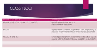 CLASS I LOCI
HLA-H, -J, -K, and -L pseudogenes
HLA-N, -P, -S, -T, U, -V, -W, -X, -Y, and -Z gene fragments that are not
transcribed or translated.
HLA-G expressed on placental trophoblast cells, implicating a
possible involvement in fetal– maternal development
HLA-E, -F, and -G Limited polymorphism and are known to act as ligands
natural killer (NK) cell inhibitory receptors (e.g., CD94)
 