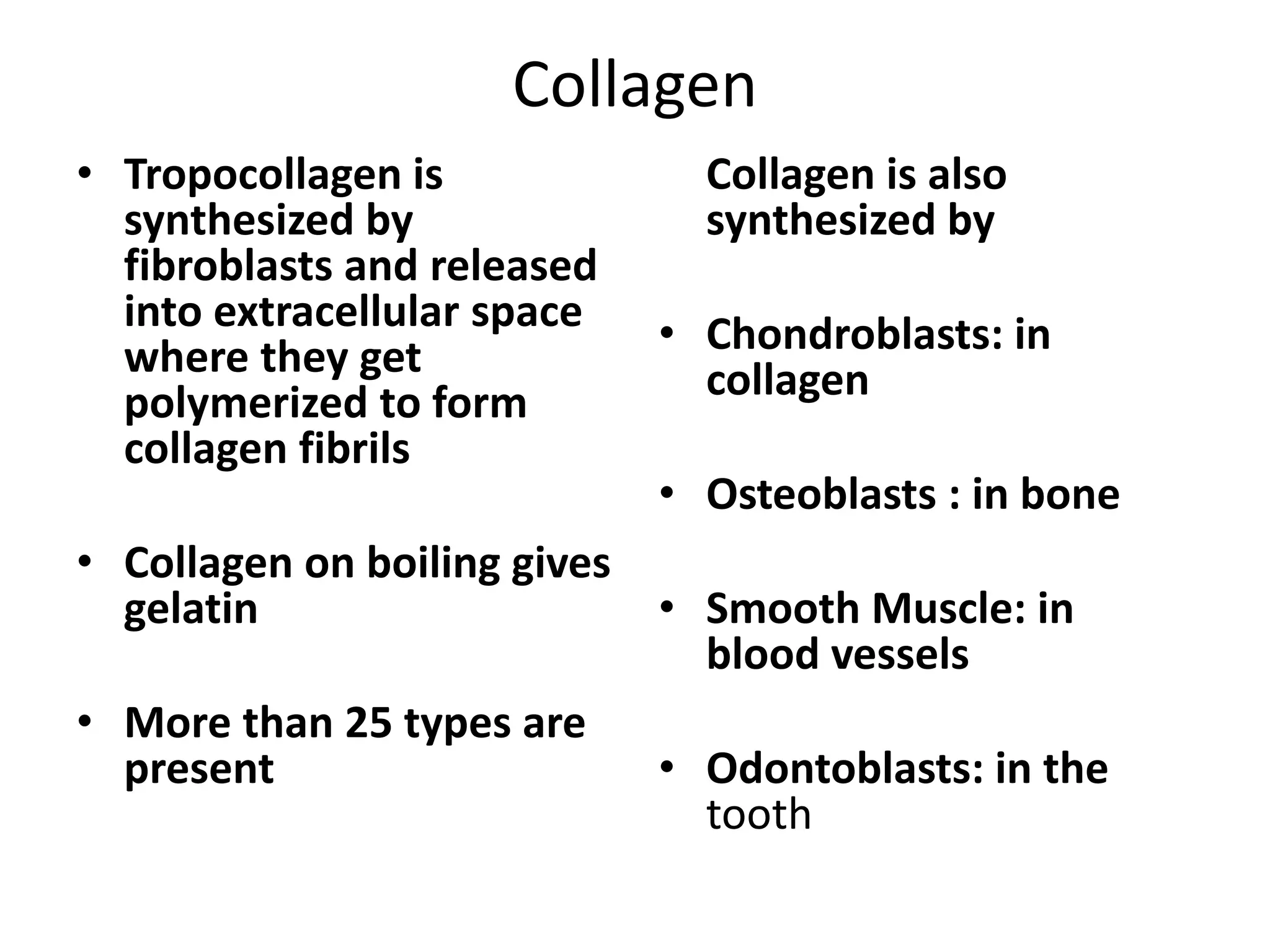 Collagen
• Tropocollagen is
synthesized by
fibroblasts and released
into extracellular space
where they get
polymerized to form
collagen fibrils
• Collagen on boiling gives
gelatin
• More than 25 types are
present
Collagen is also
synthesized by
• Chondroblasts: in
collagen
• Osteoblasts : in bone
• Smooth Muscle: in
blood vessels
• Odontoblasts: in the
tooth
 